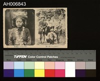 藏品(蕃人少女結婚裝及蕃人出獵裝明信片 (大正年))的圖片